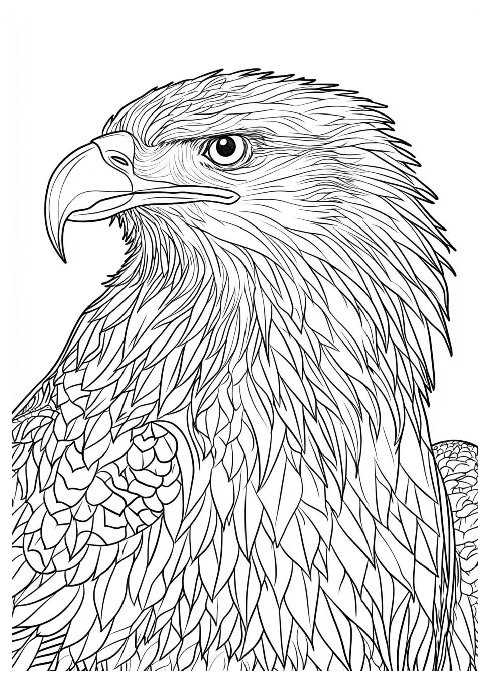 Disegni Aquila Da Colorare 22