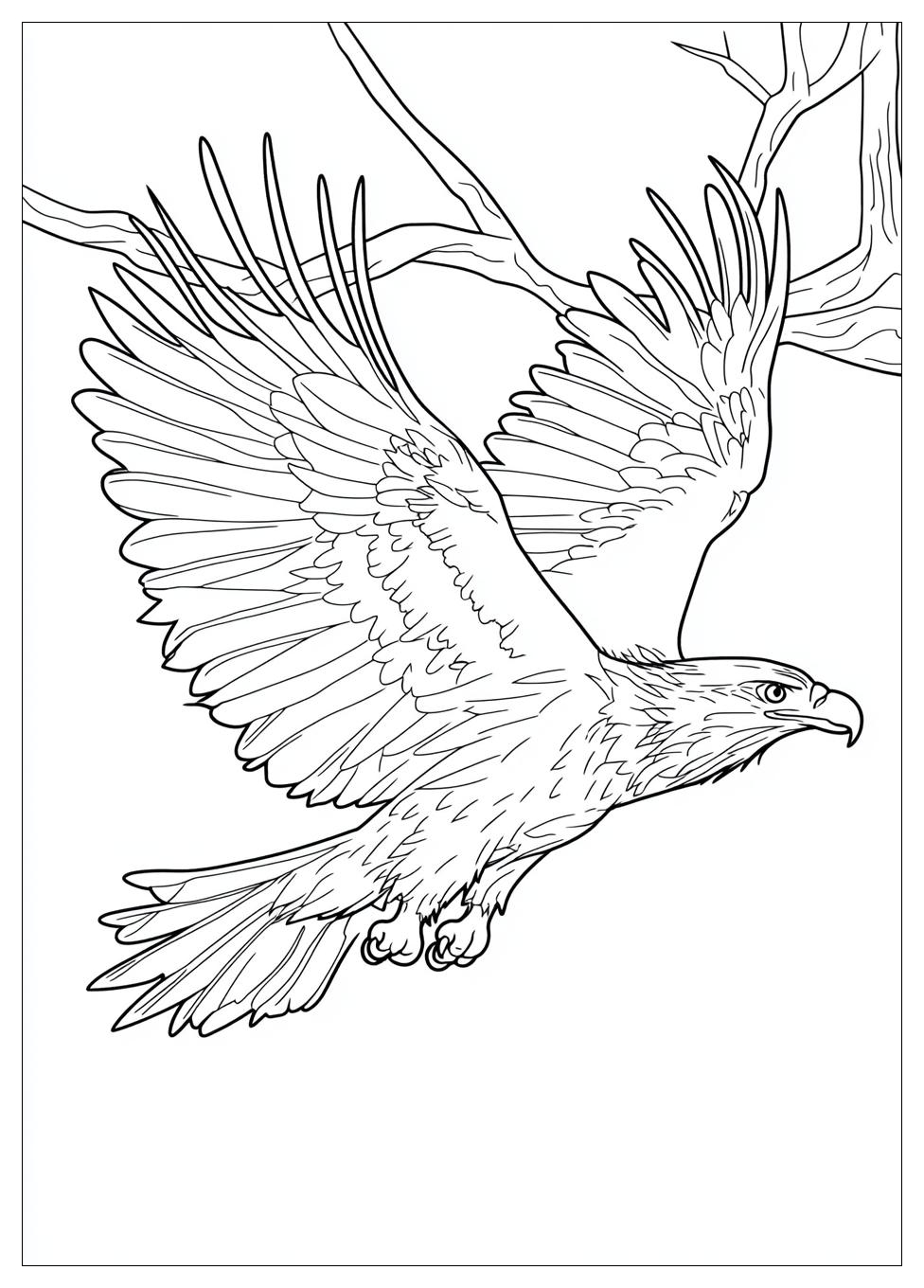 Disegni Aquila Da Colorare 9