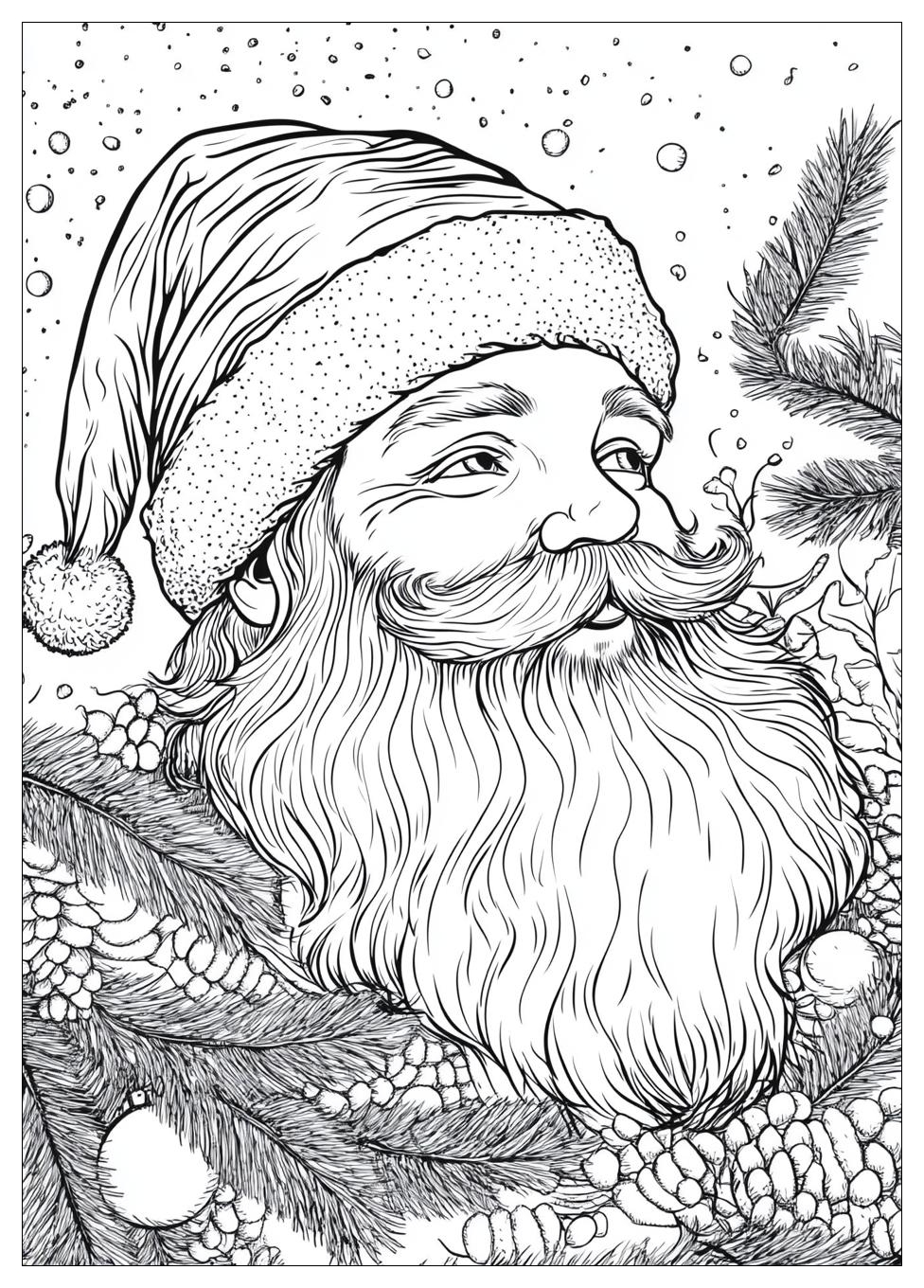 Disegni Babbo Natale Da Colorare 21