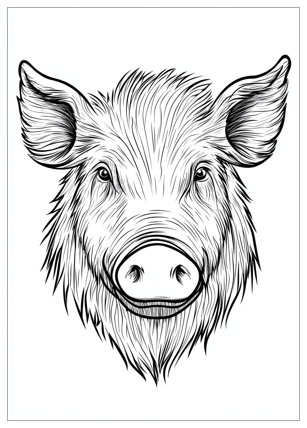 Disegni Cinghiale Da Colorare 11