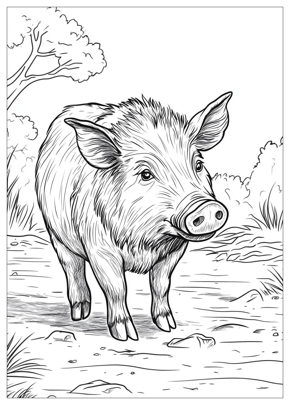 Disegni Cinghiale Da Colorare 14