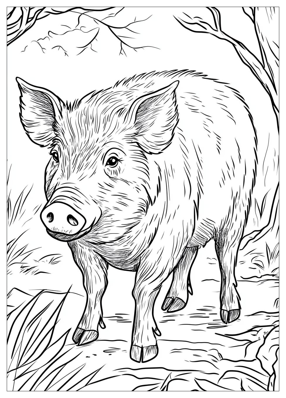 Disegni Cinghiale Da Colorare 15