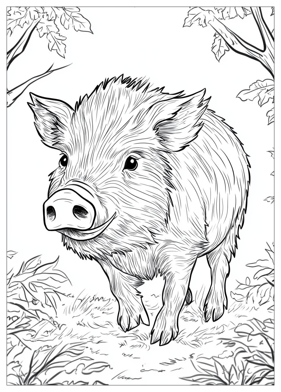 Disegni Cinghiale Da Colorare 16