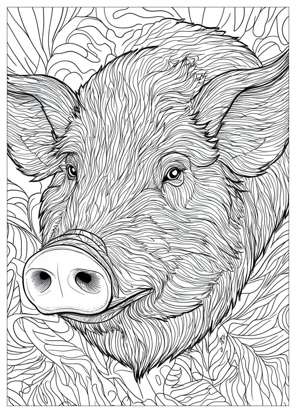 Disegni Cinghiale Da Colorare 2