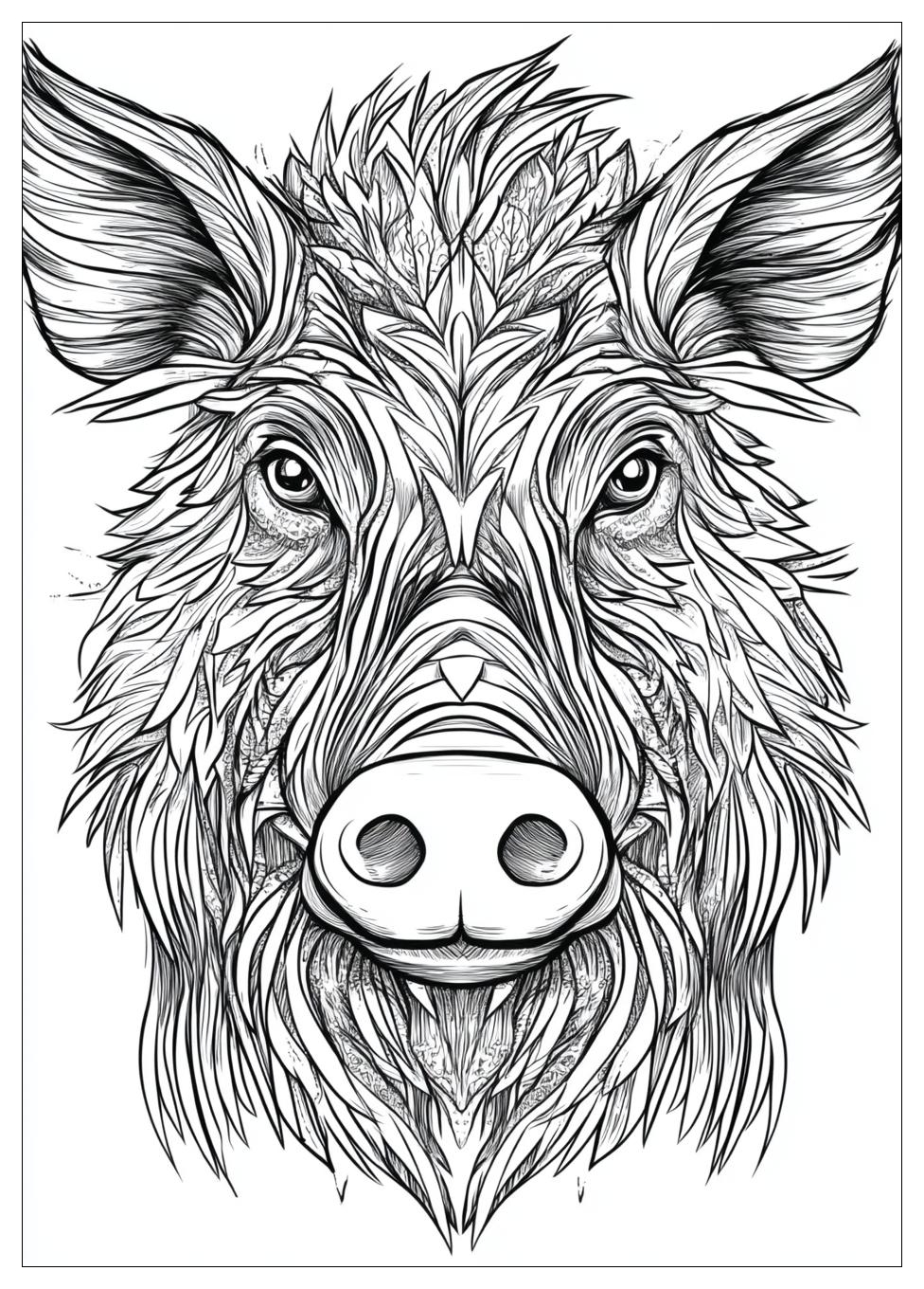 Disegni Cinghiale Da Colorare 24