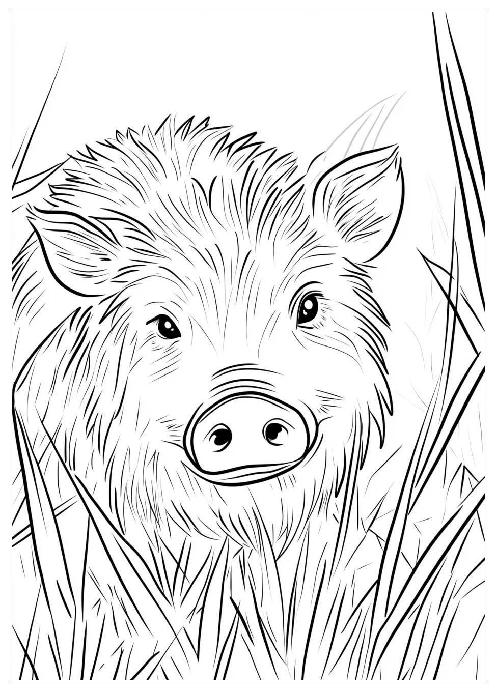 Disegni Cinghiale Da Colorare 5