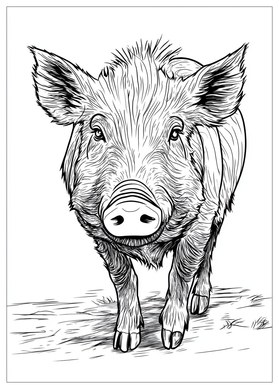 Disegni Cinghiale Da Colorare 6