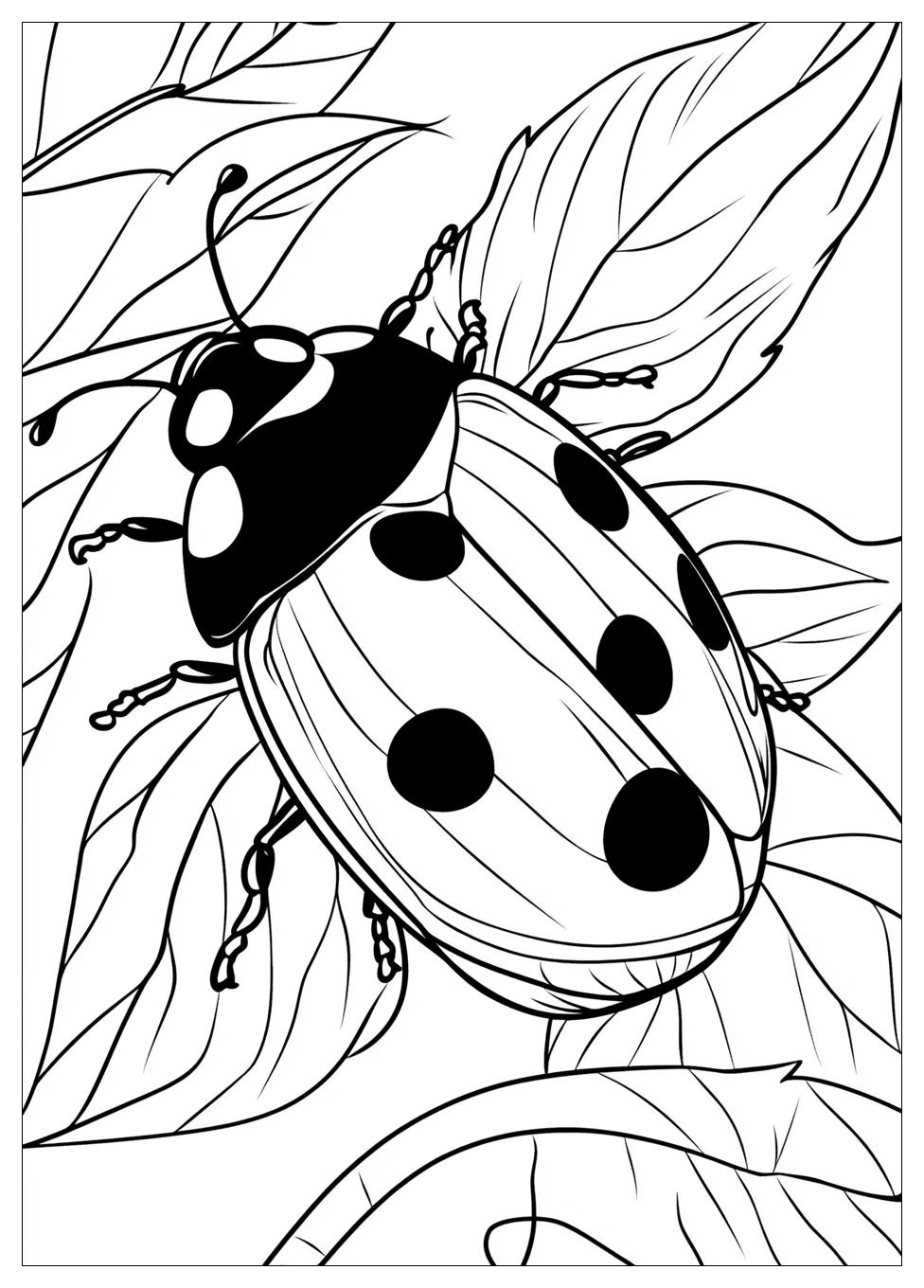 Disegni Coccinella Da Colorare 1