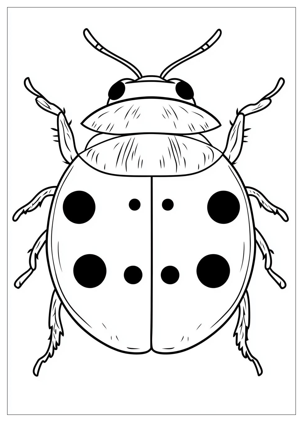 Disegni Coccinella Da Colorare 11