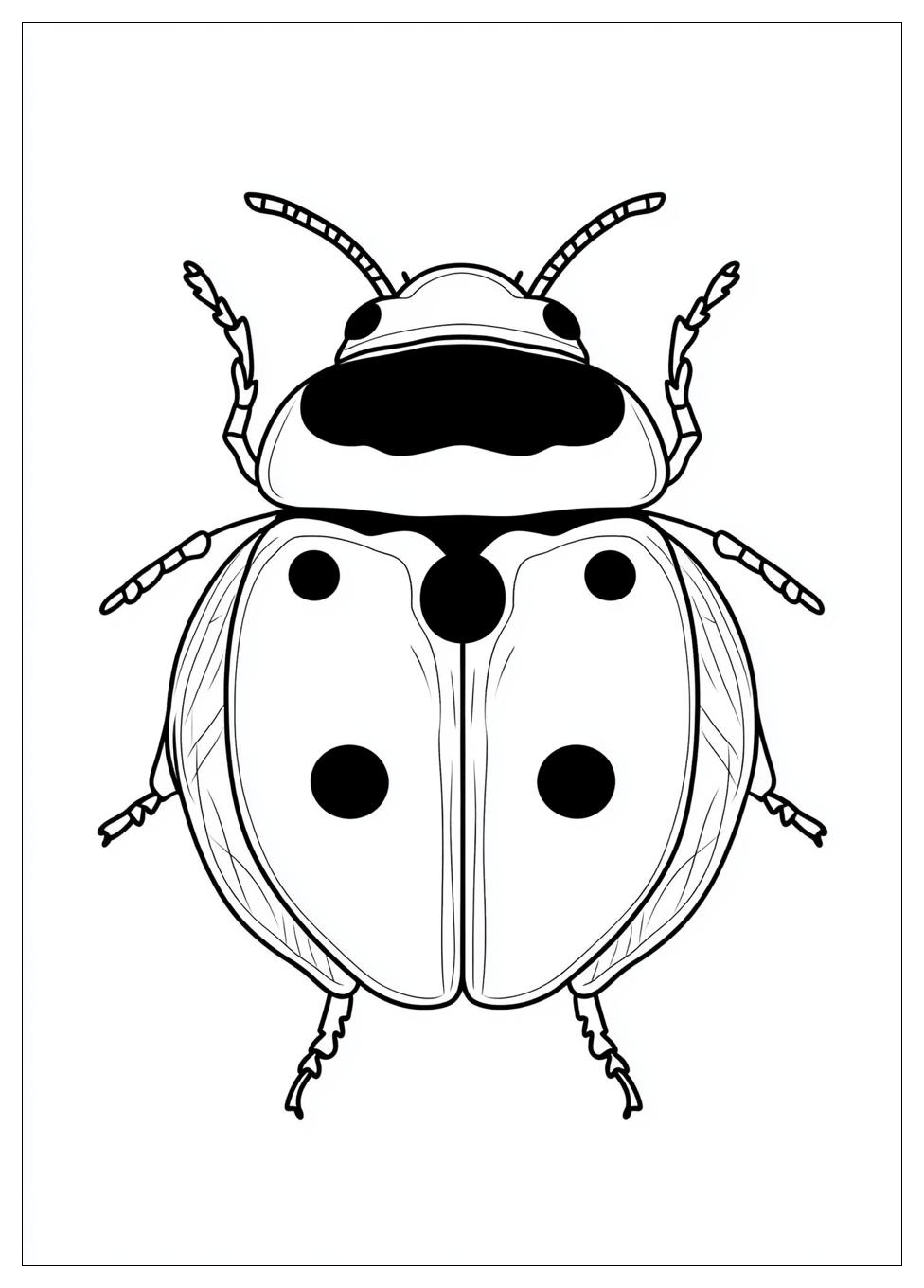 Disegni Coccinella Da Colorare 13