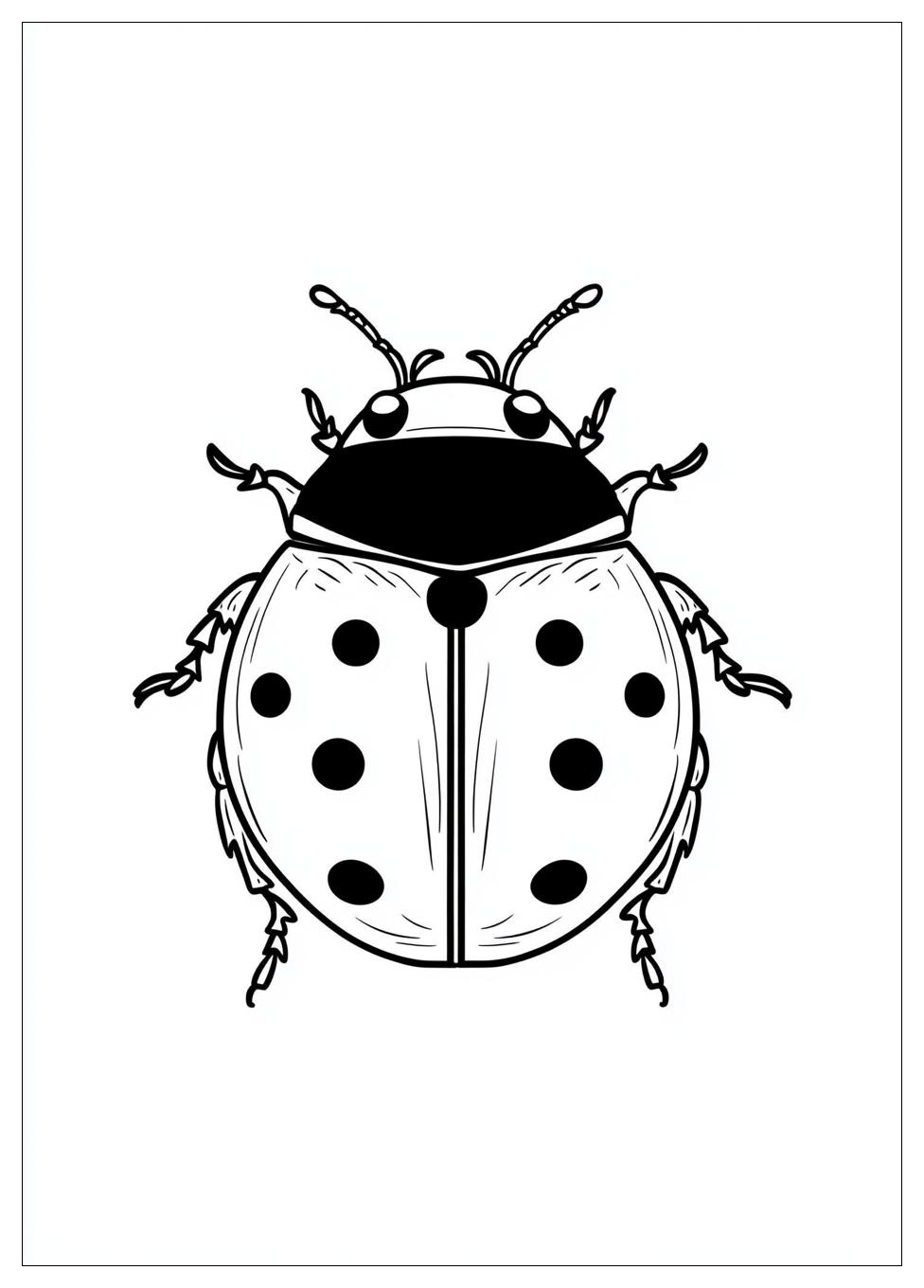 Disegni Coccinella Da Colorare 2