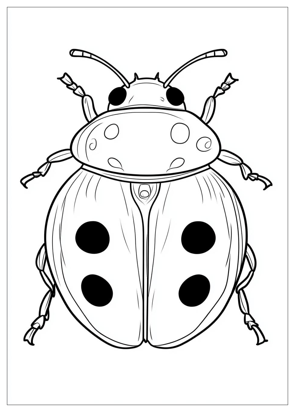 Disegni Coccinella Da Colorare 20