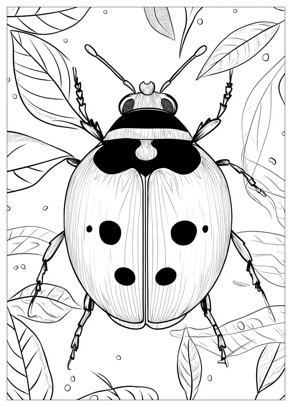 Disegni Coccinella Da Colorare 21