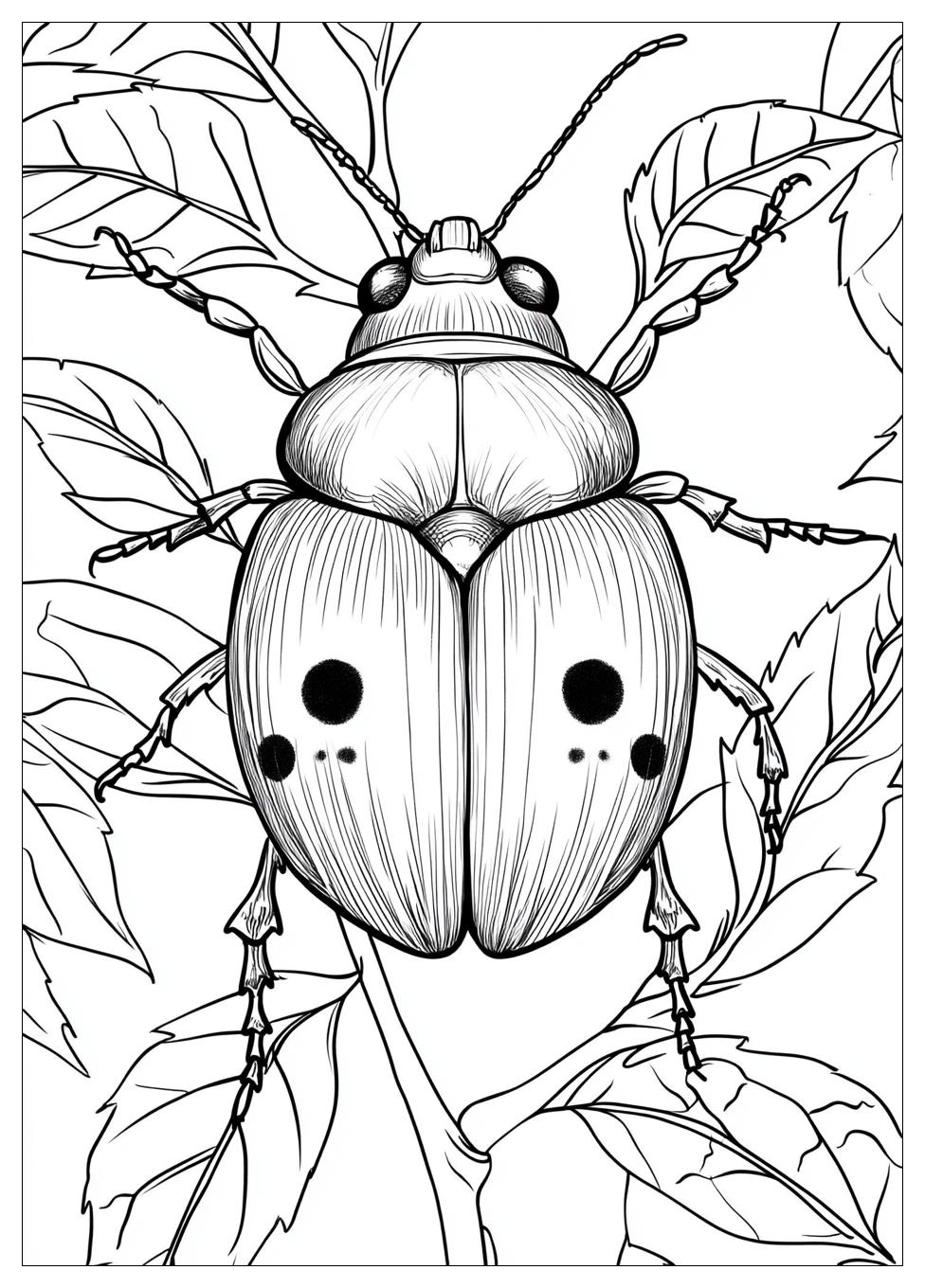 Disegni Coccinella Da Colorare 23