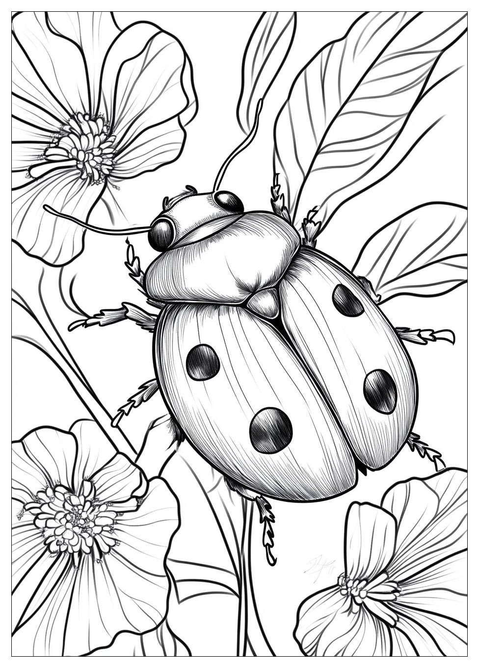 Disegni Coccinella Da Colorare 24