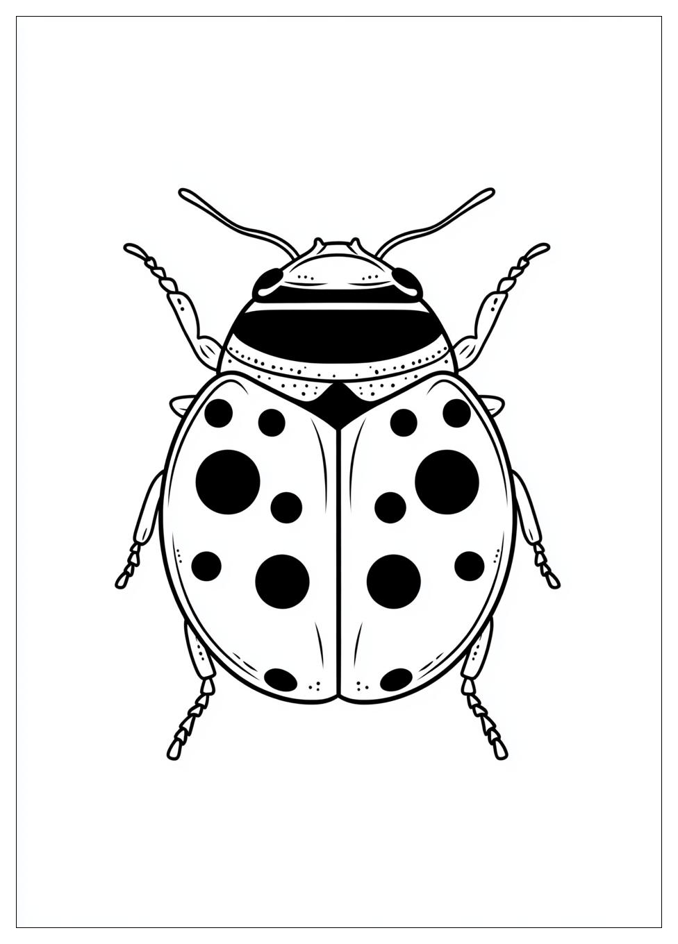 Disegni Coccinella Da Colorare 4