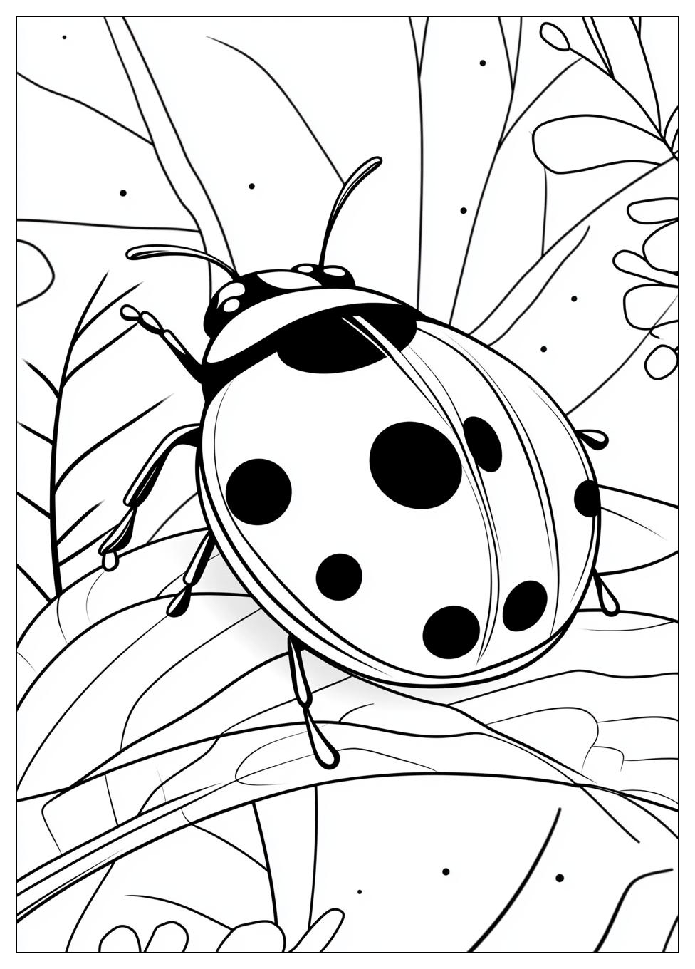 Disegni Coccinella Da Colorare 5