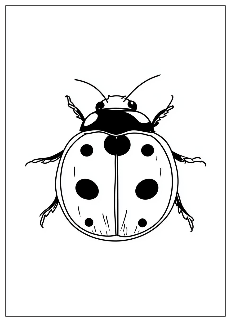 Disegni Coccinella Da Colorare 6