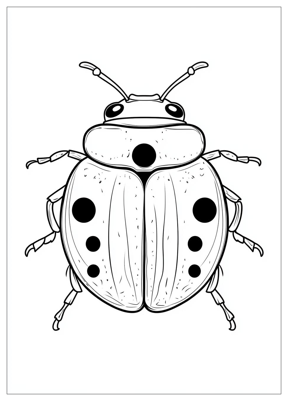 Disegni Coccinella Da Colorare 7