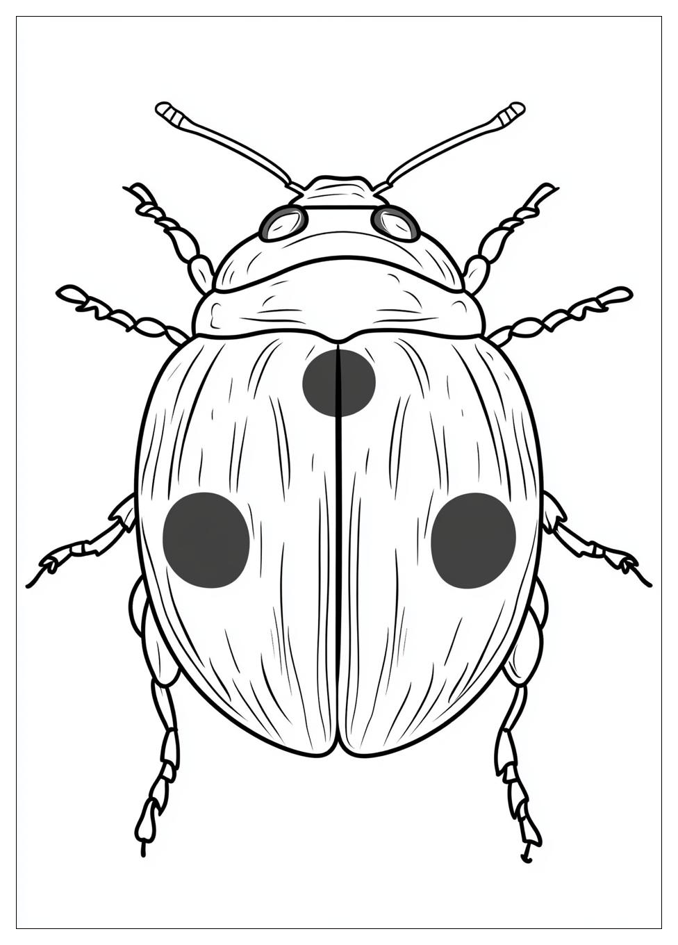 Disegni Coccinella Da Colorare 9