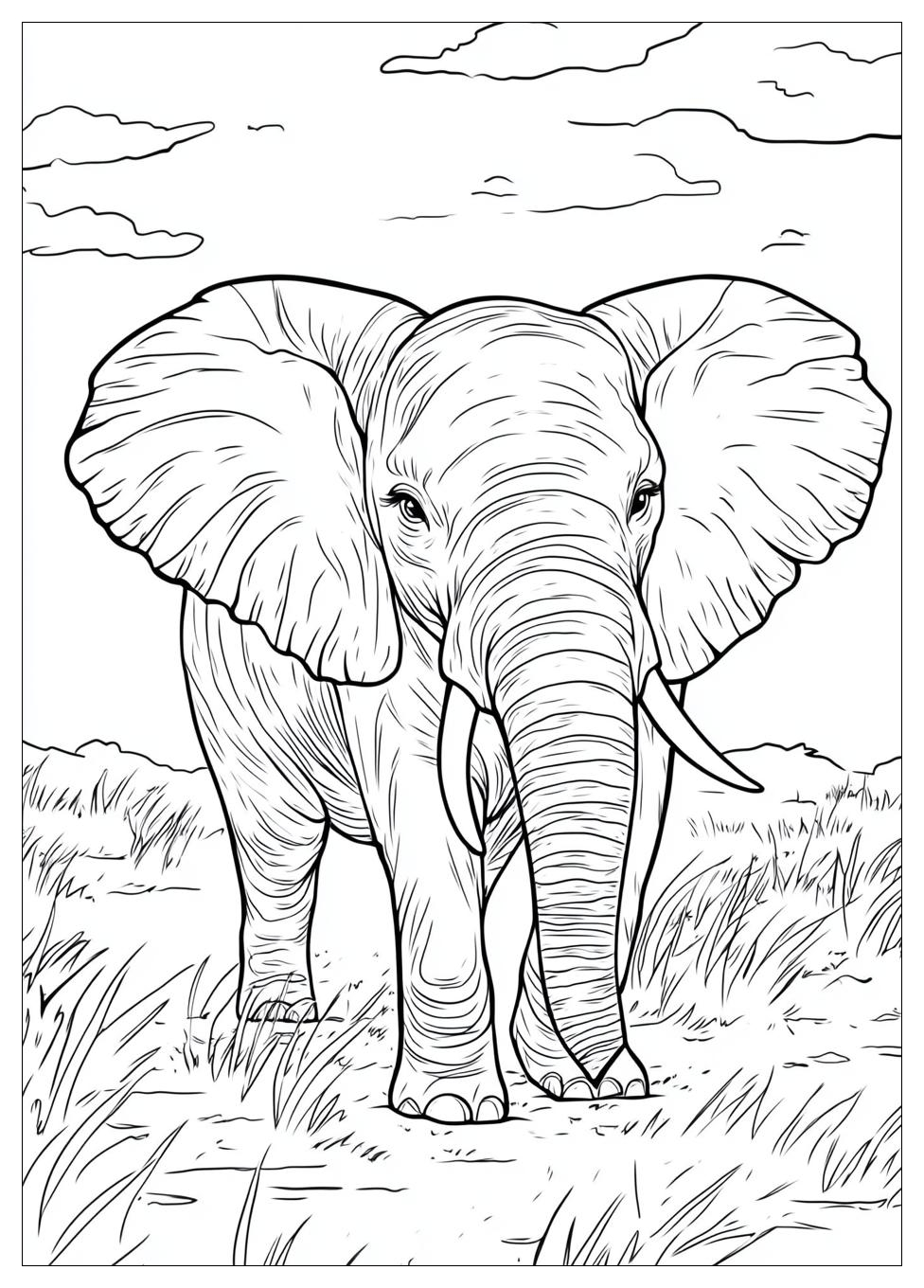 Disegni Elefante Da Colorare 6