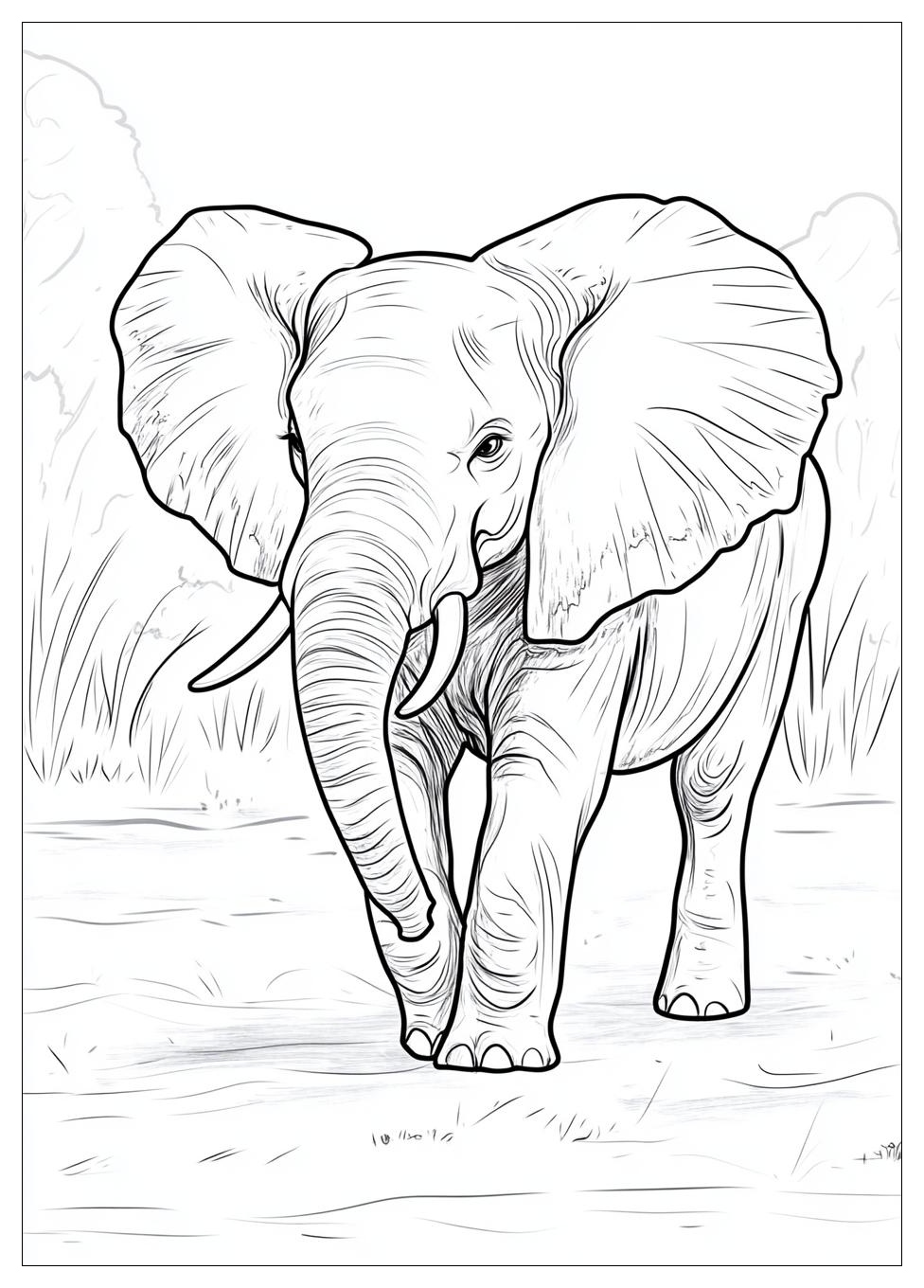 Disegni Elefante Da Colorare 7