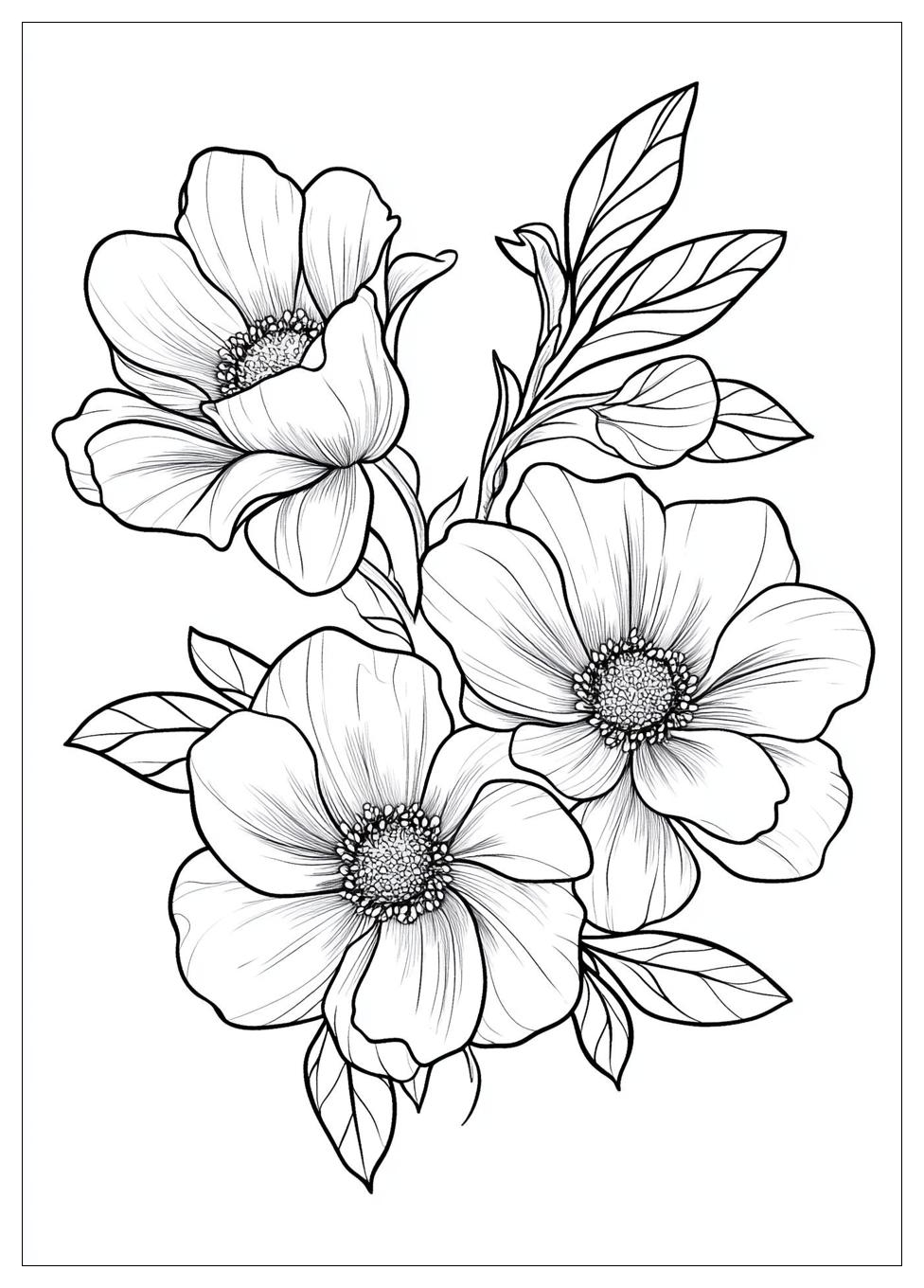 Disegni Fiori Da Colorare 5