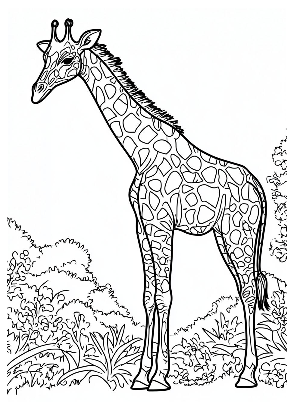 Disegni Giraffe Da Colorare 11