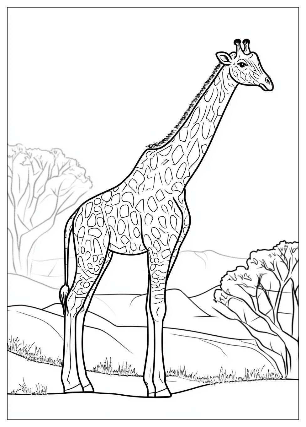 Disegni Giraffe Da Colorare 13