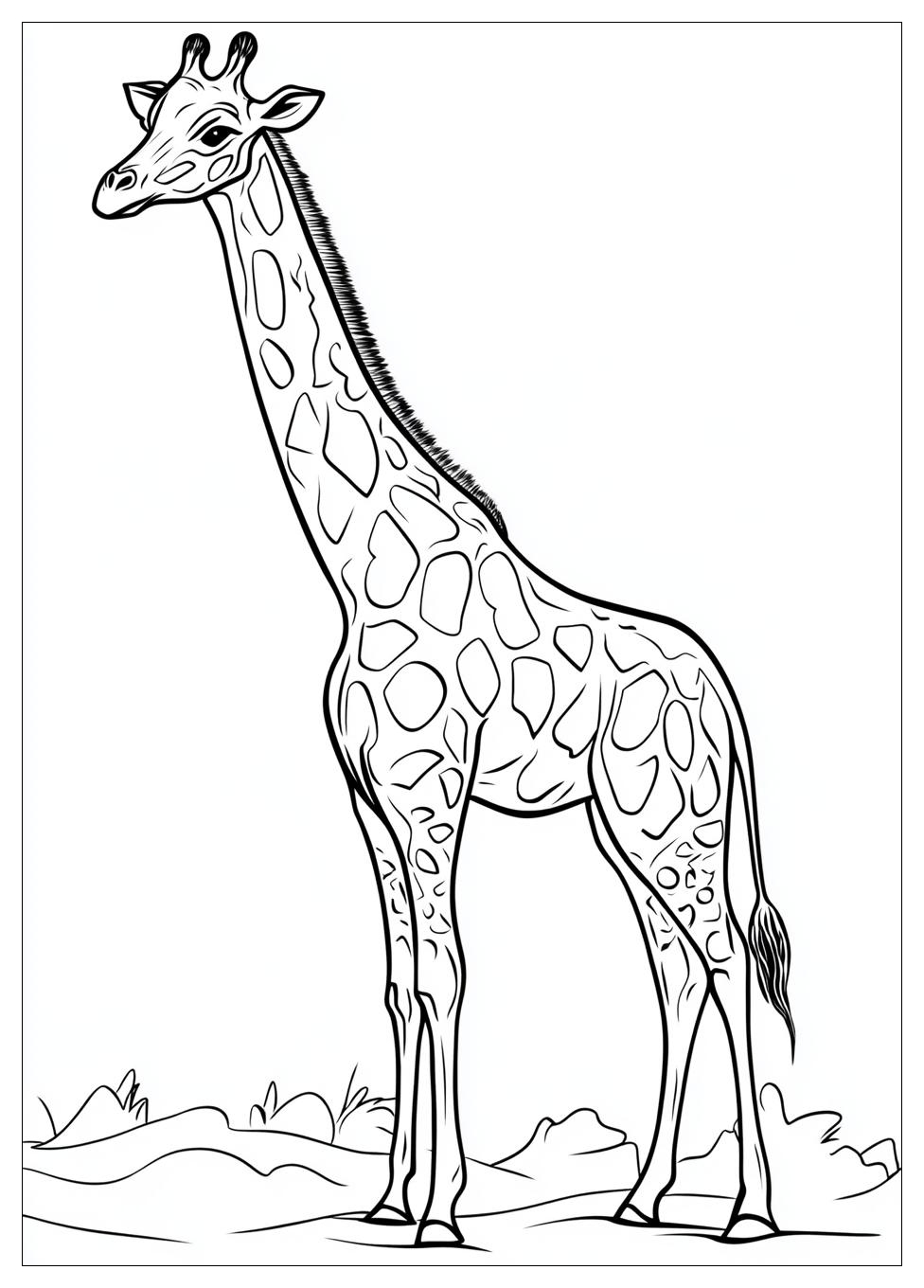 Disegni Giraffe Da Colorare 16