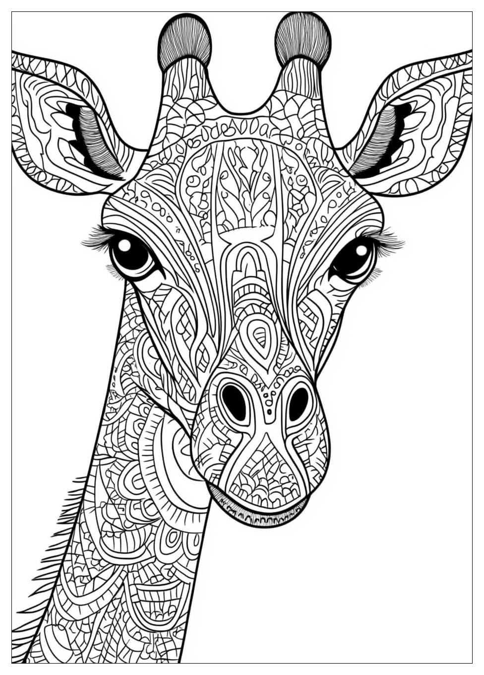 Disegni Giraffe Da Colorare 23