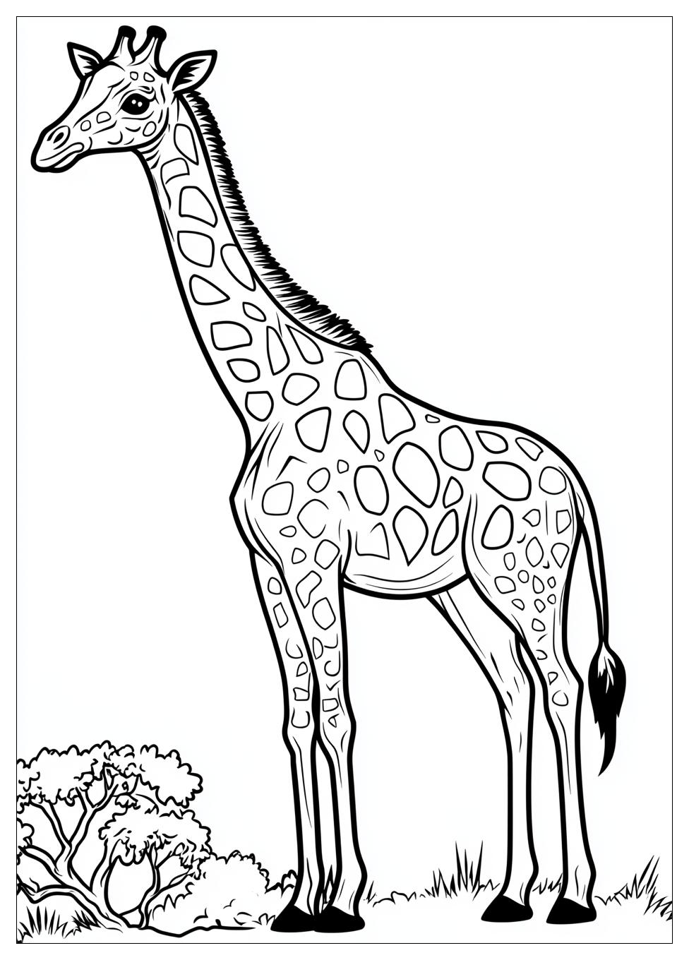 Disegni Giraffe Da Colorare 9