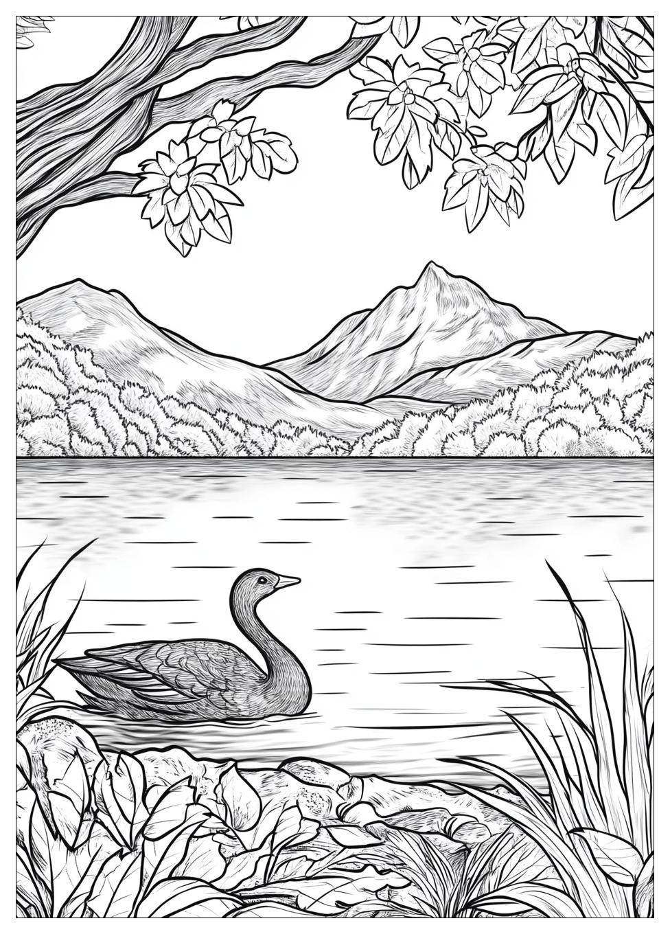 Disegni Lago Da Colorare 22