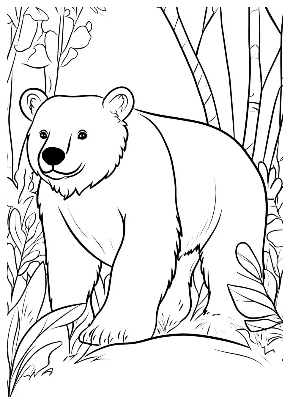 Disegni Orso Da Colorare 2