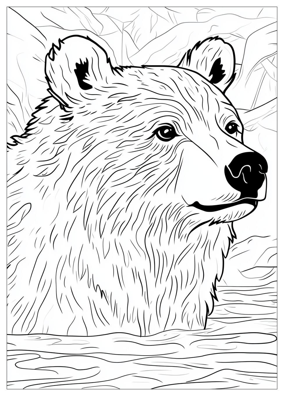 Disegni Orso Da Colorare 20