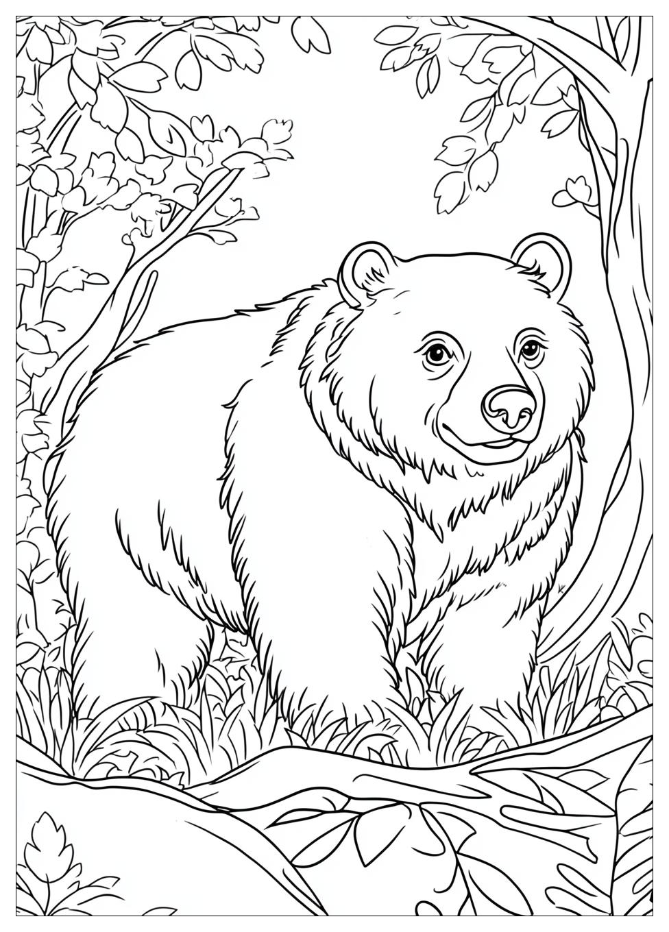 Disegni Orso Da Colorare 8