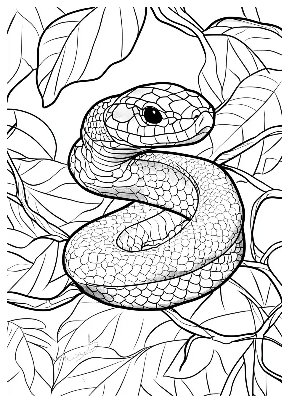 Disegni Serpente Da Colorare 1