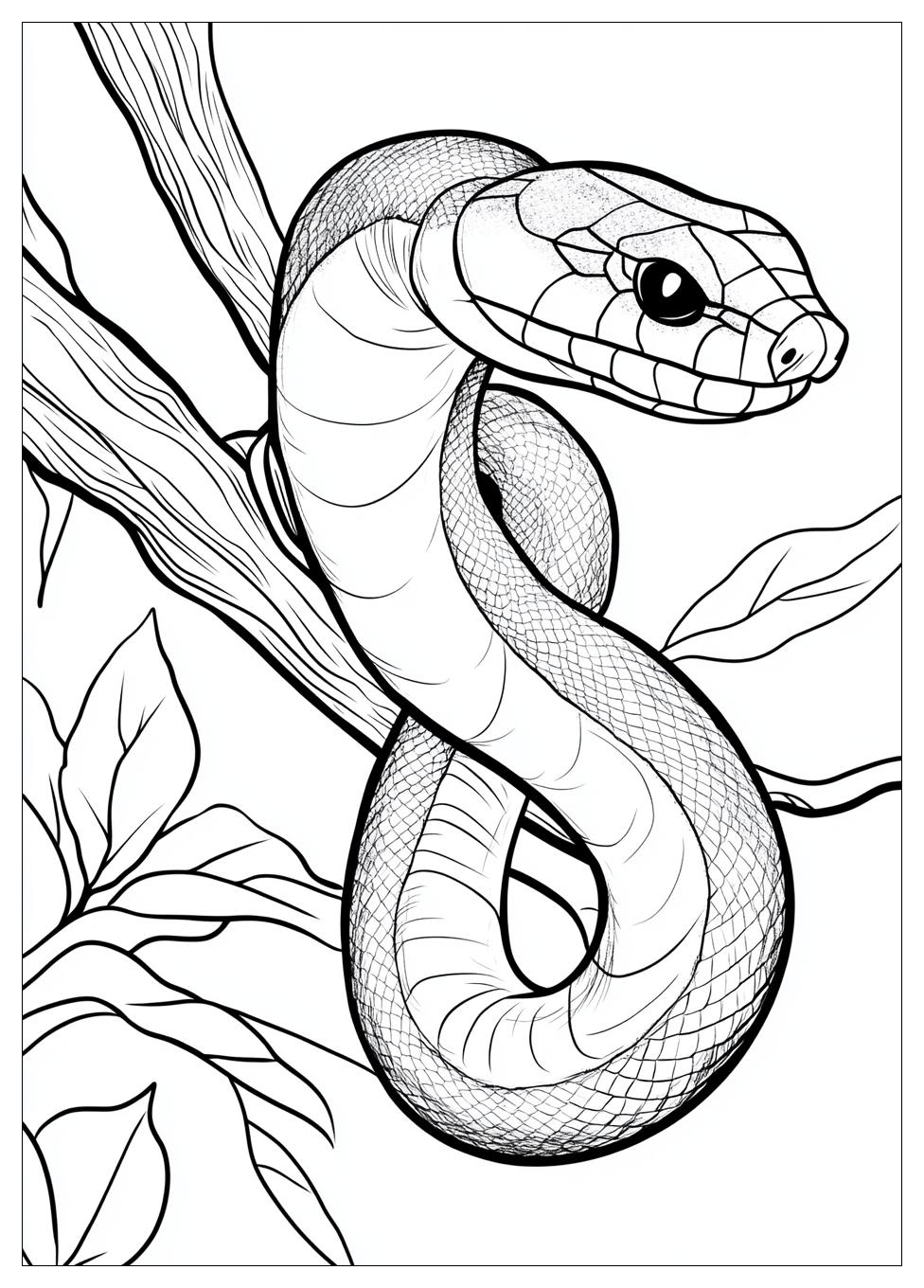 Disegni Serpente Da Colorare 12