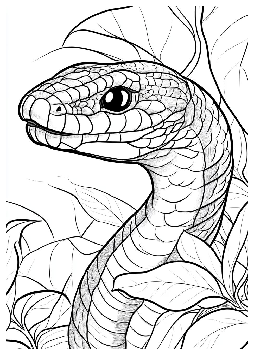 Disegni Serpente Da Colorare 14