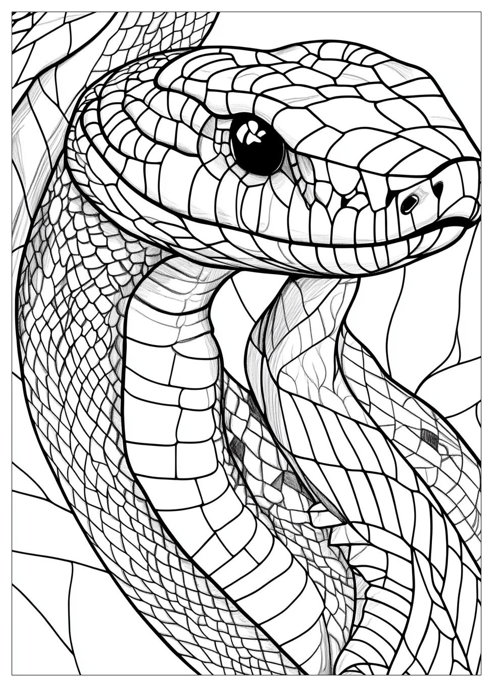 Disegni Serpente Da Colorare 2