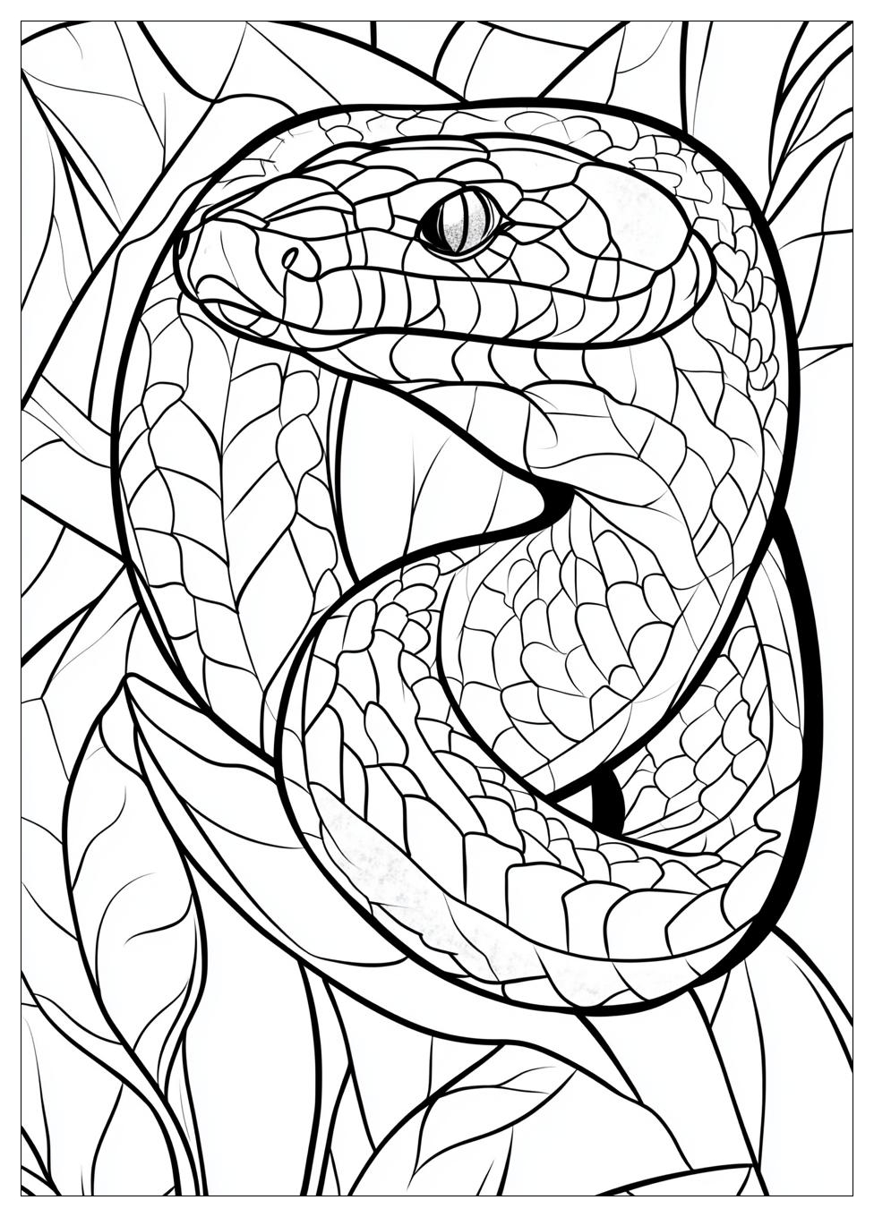 Disegni Serpente Da Colorare 20