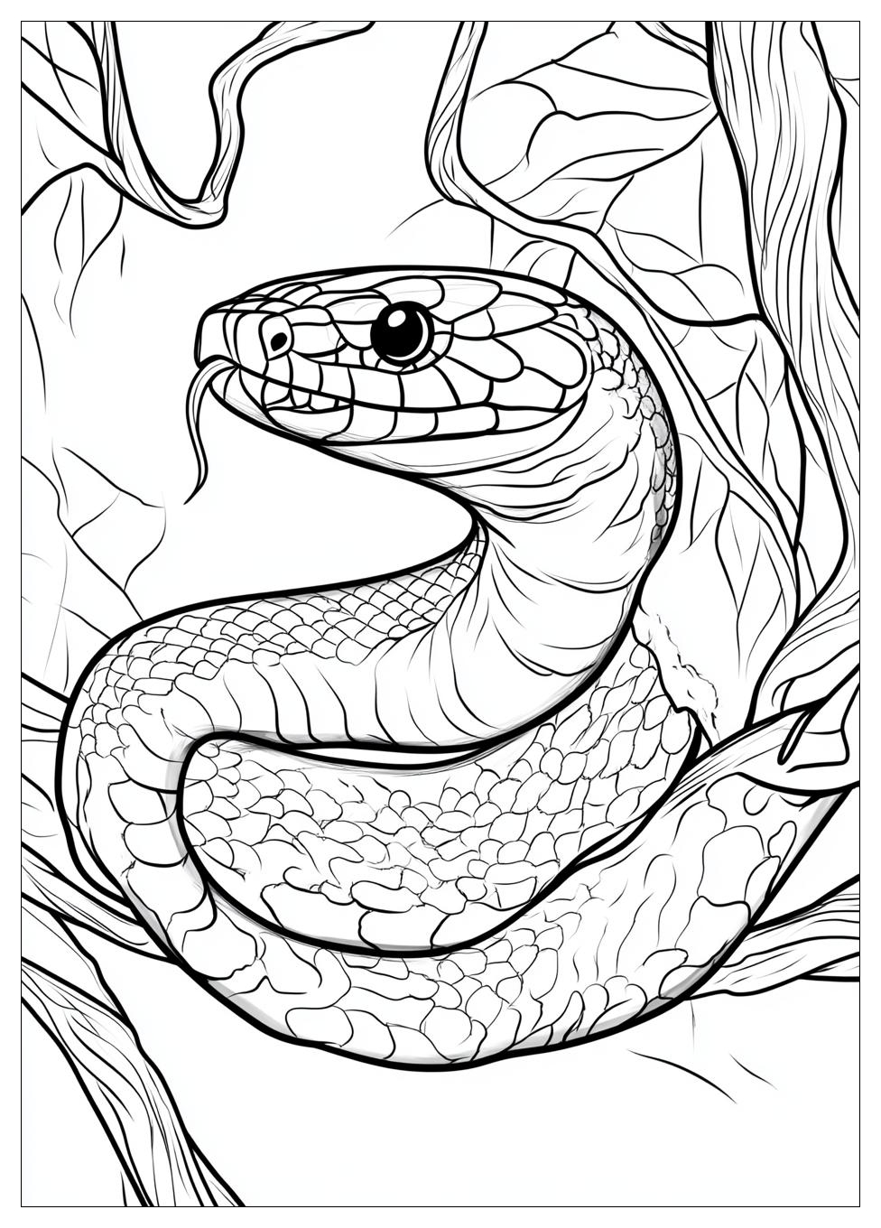 Disegni Serpente Da Colorare 22