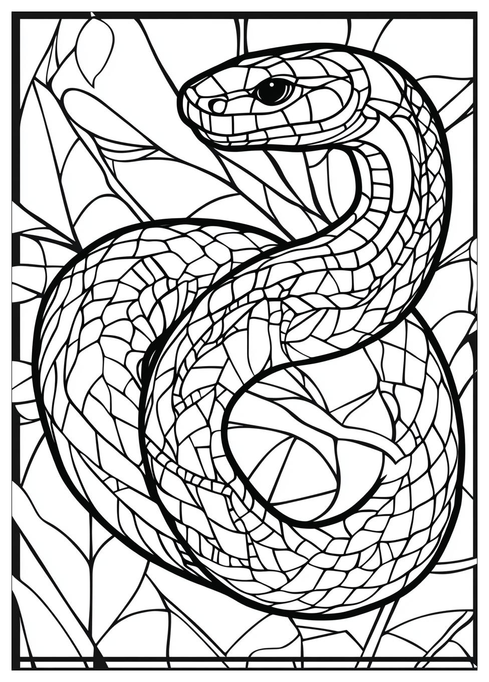 Disegni Serpente Da Colorare 4