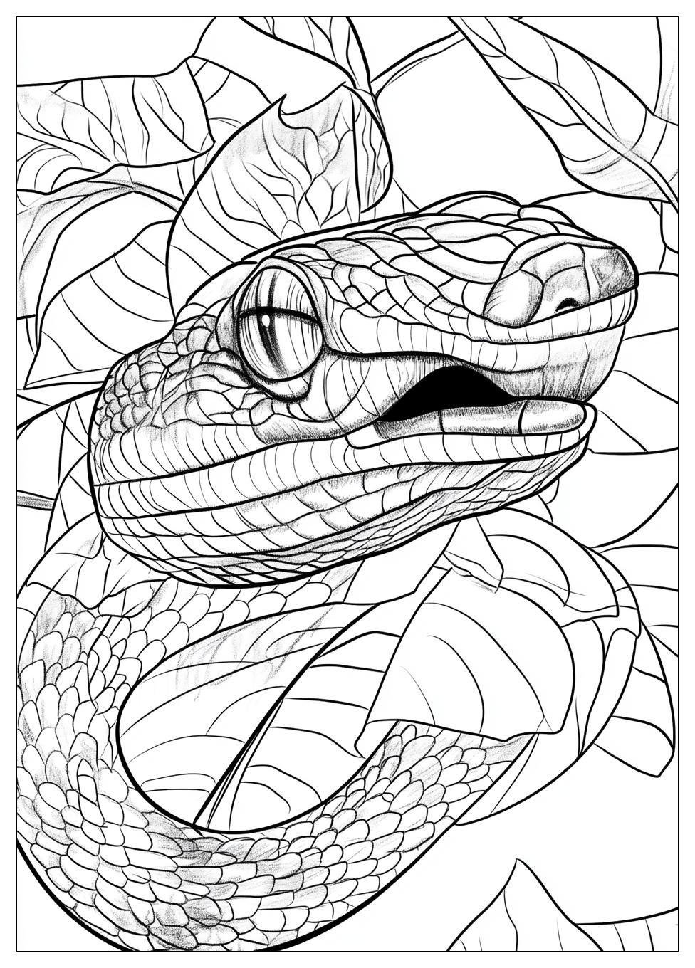 Disegni Serpente Da Colorare 8