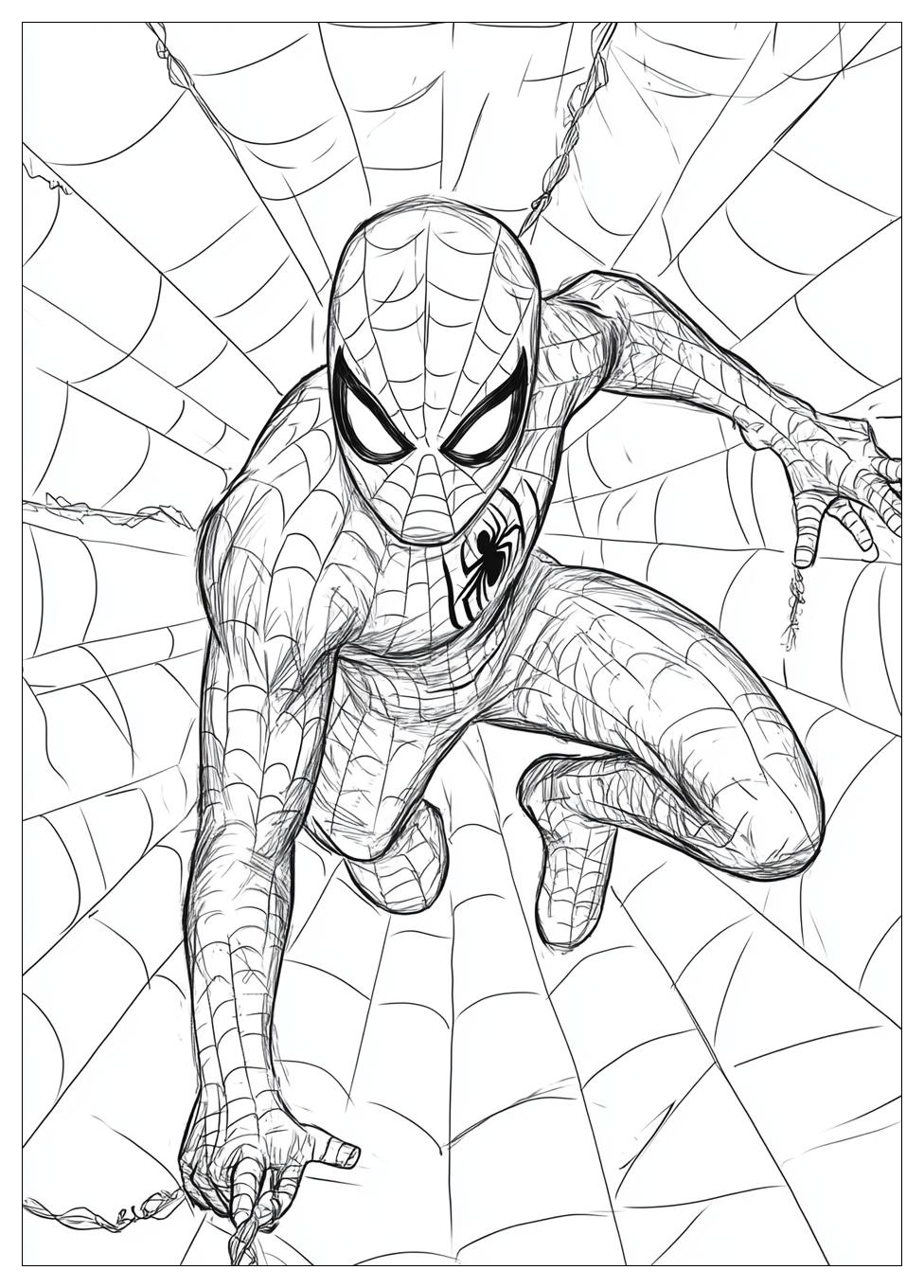 Disegni Spiderman Da Colorare 12