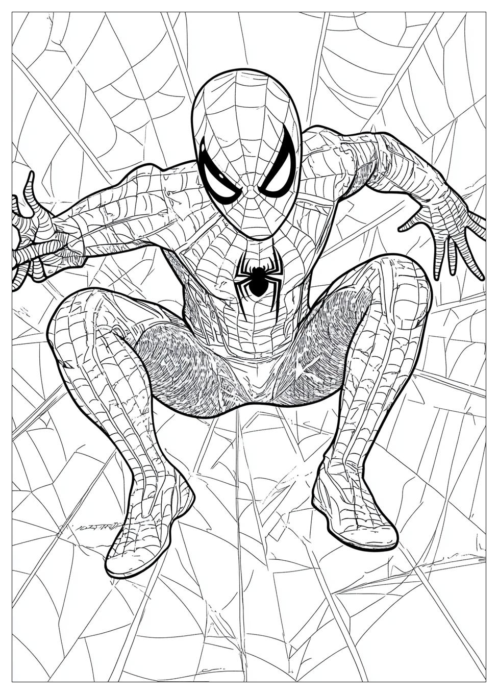 Disegni Spiderman Da Colorare 22