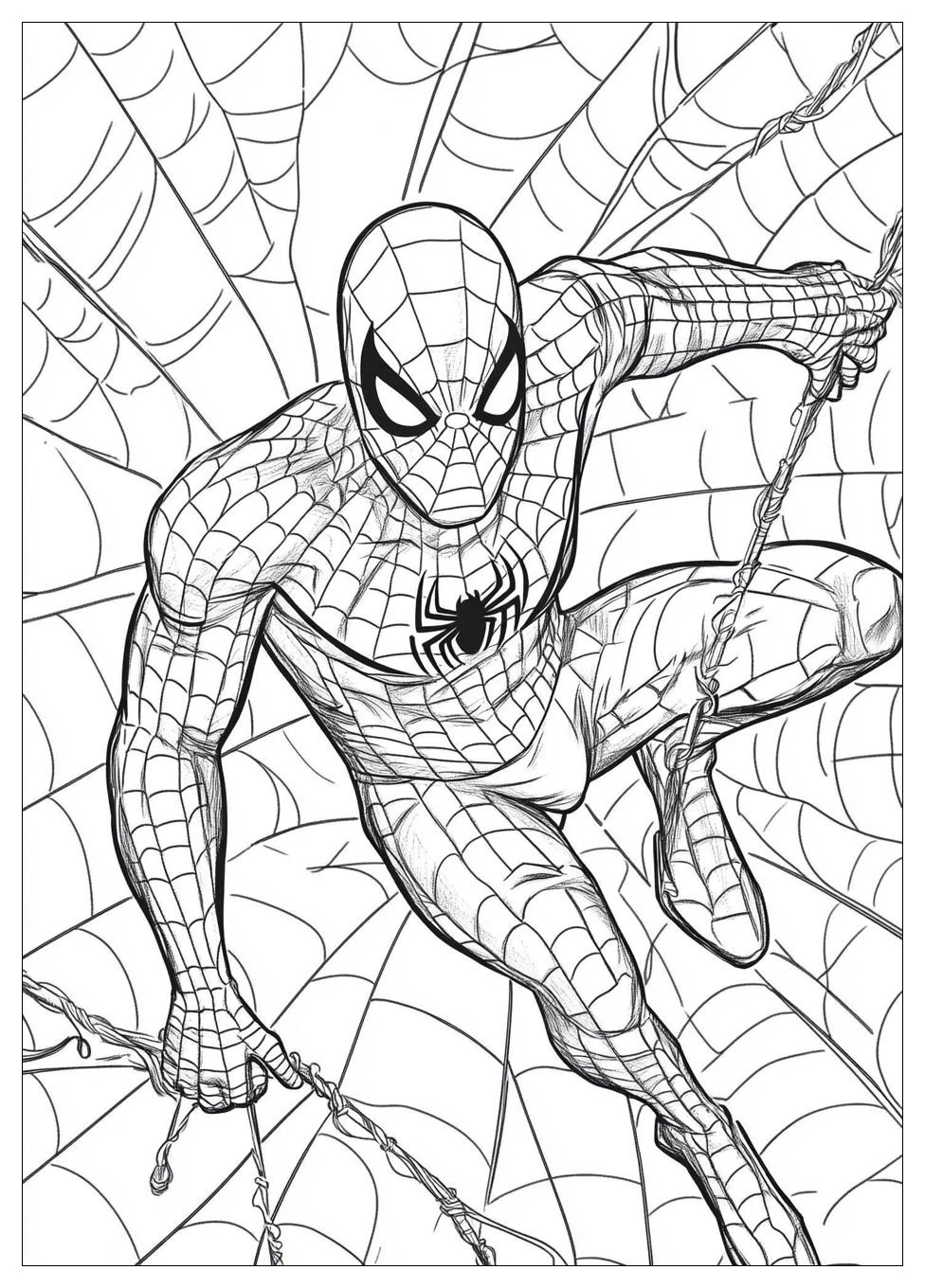 Disegni Spiderman Da Colorare 5