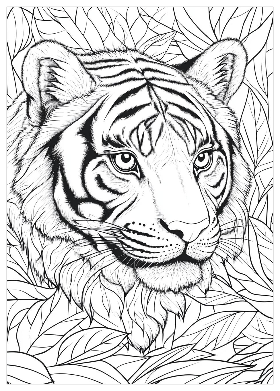 Disegni Tigre Da Colorare 18