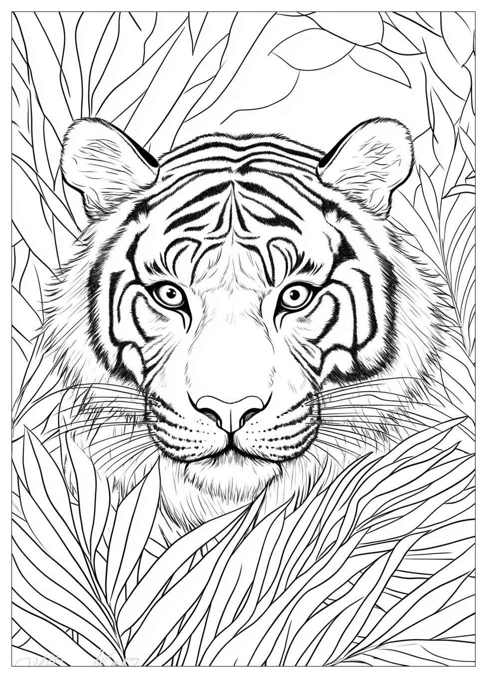 Disegni Tigre Da Colorare 2