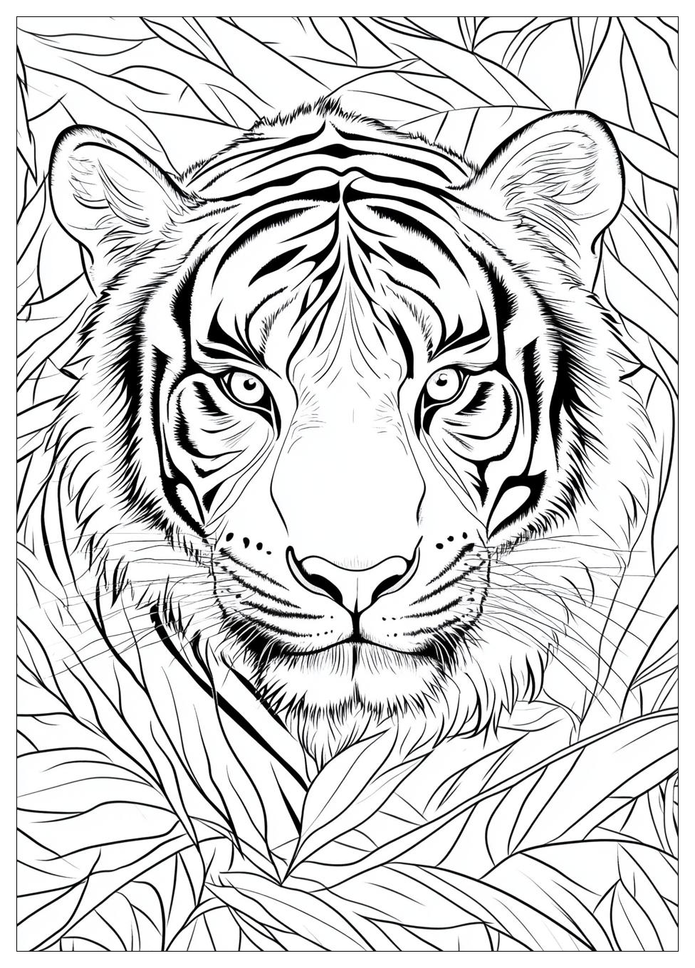 Disegni Tigre Da Colorare 23